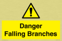 danger-falling-branches~